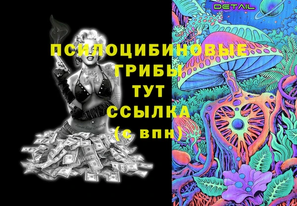 дмт Алзамай