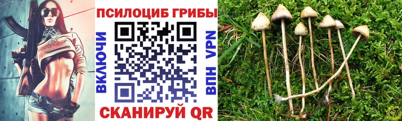 Псилоцибиновые грибы Magic Shrooms  даркнет наркотические препараты  Усмань 