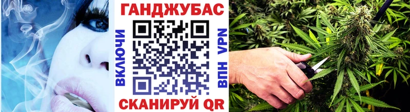 Каннабис планчик  Усмань 